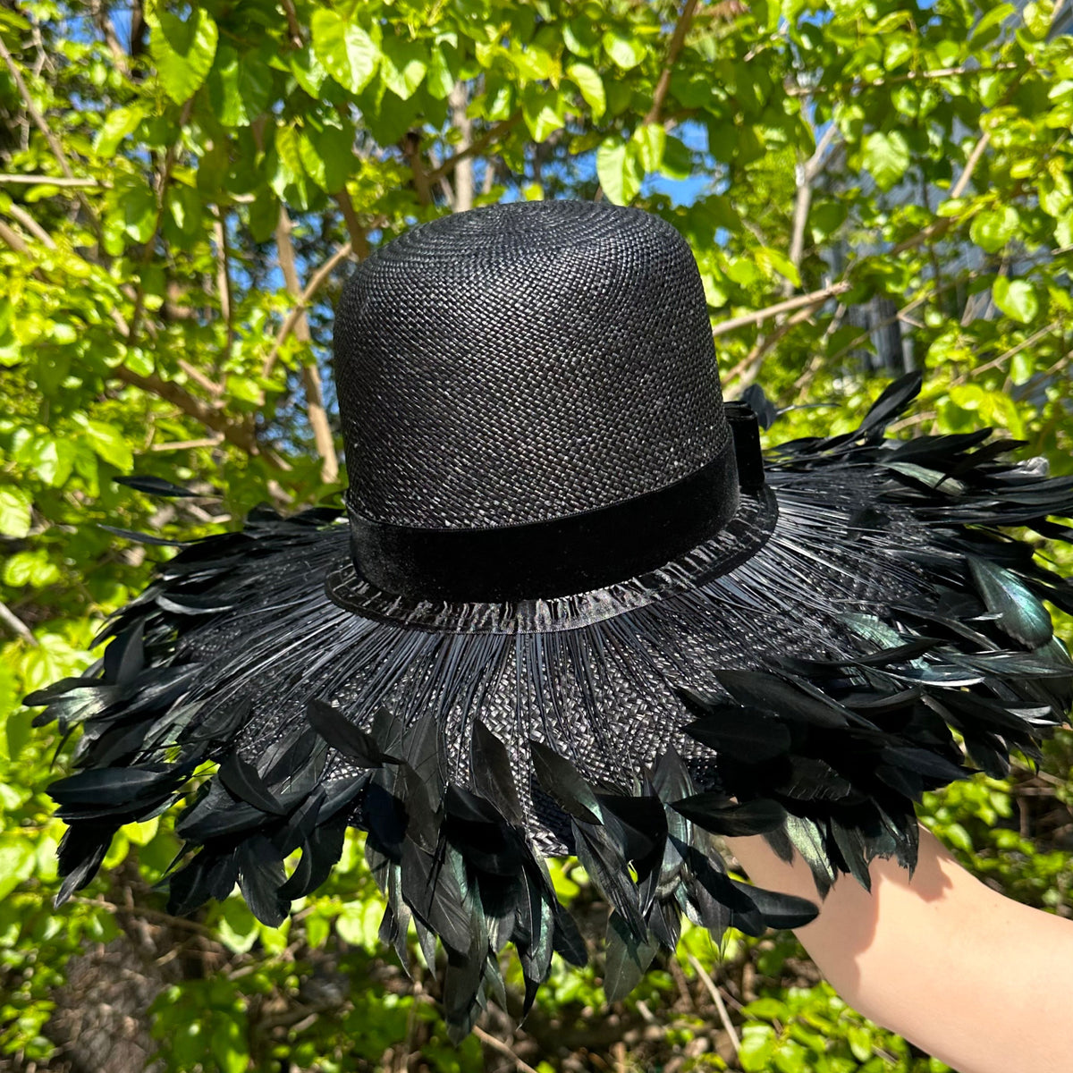 The Vanessa in black