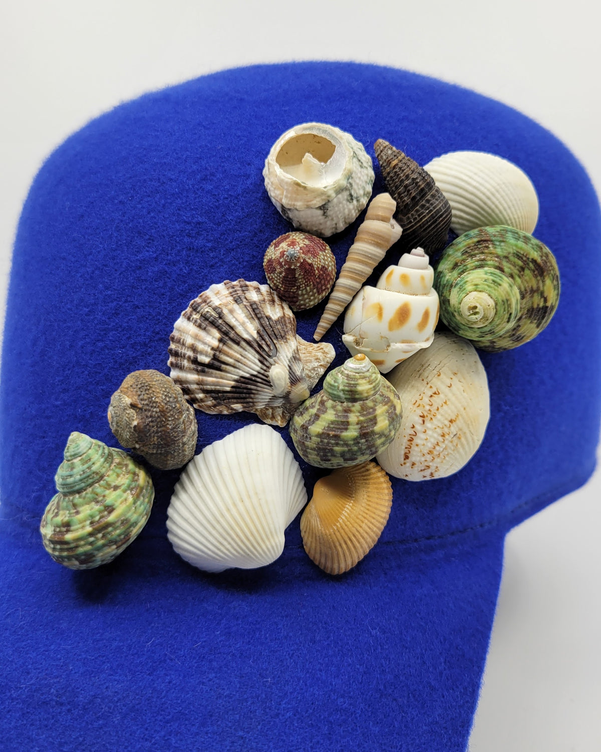 The Azure Relic Cap